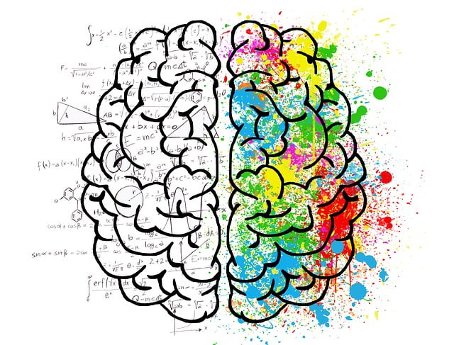 left-brained vs. right-brained